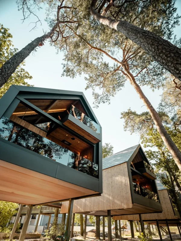 Treehouse Suite hoog tussen de bomen in Gilze