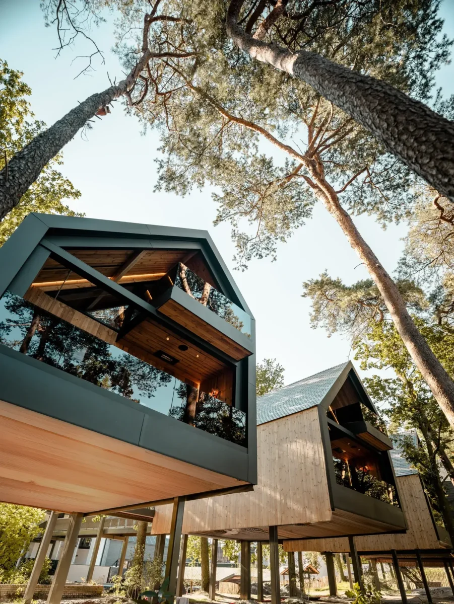 Treehouse Suite hoog tussen de bomen in Gilze