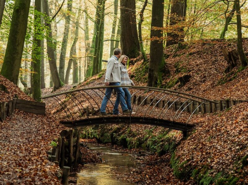 Wandelen bij Landgoed Beekhuizen naast Buitenplaats Beekhuizen