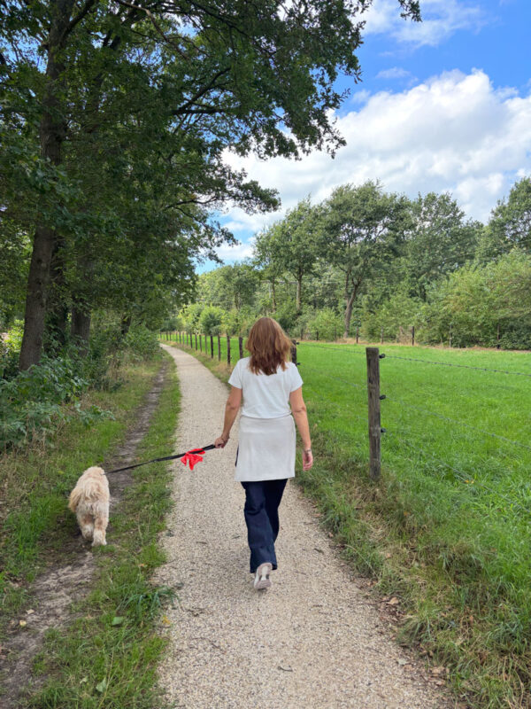 Wandelen naar Holten