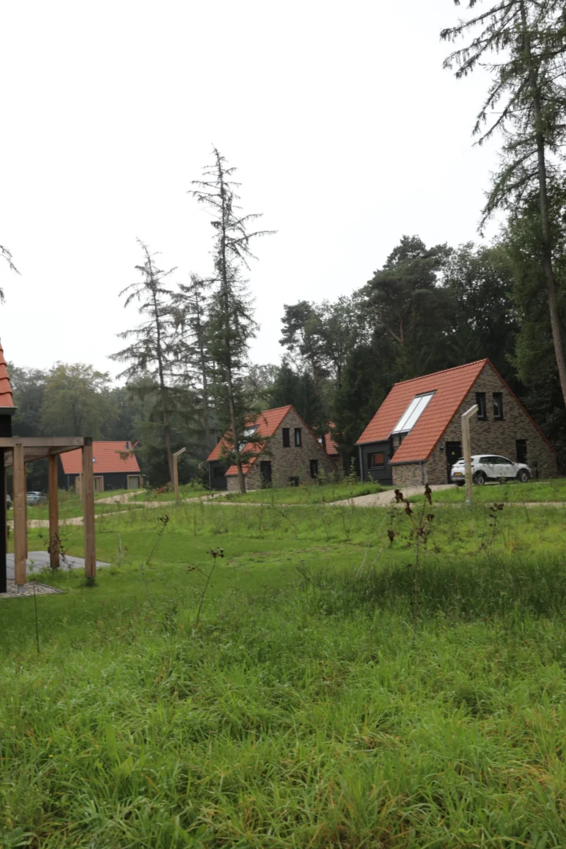 Bomen en beplanting tussen de huizen op Buytenplaets Rhenen