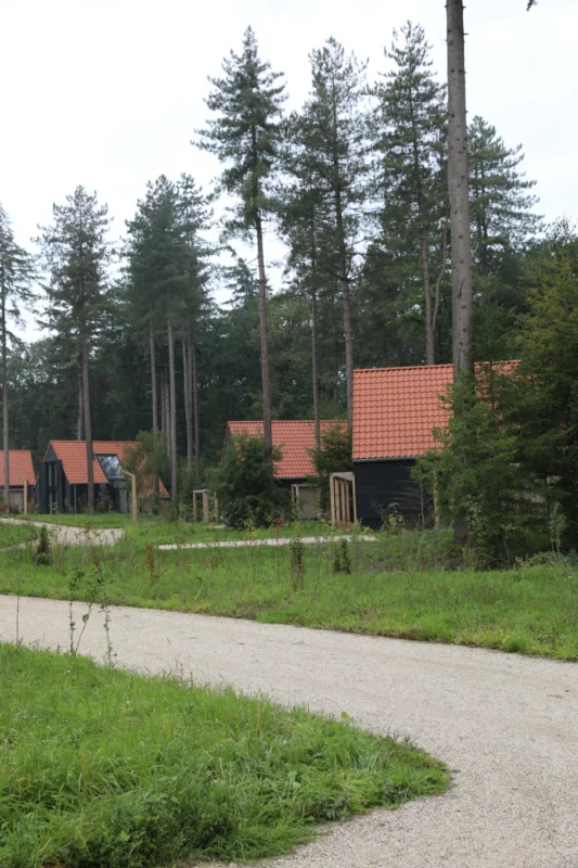 Pad tussen de bomen en vakantiehuizen op Buytenplaets Rhenen