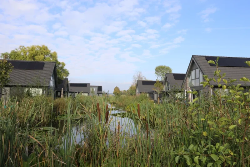 Vijver tussen de vakantiehuizen op De Wielsche Dreef