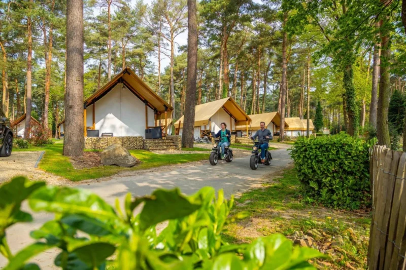 Verblijven tussen de bomen bij EuroParcs Hoge Kempen