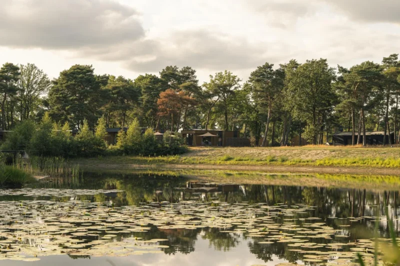 Natuurlijk ven en lodges op Hofparken De Bergvennen
