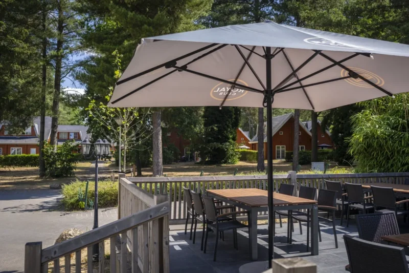 Terras tussen de bomen bij Landal Mooi Zutendaal