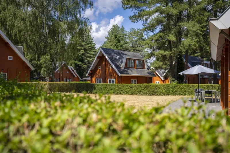 Vakantieverblijven tussen de bomen bij Landal Mooi Zutendaal