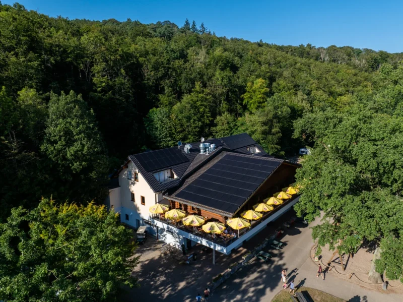 Blockhaus met terras tussen het groen bij RCN Laacher See